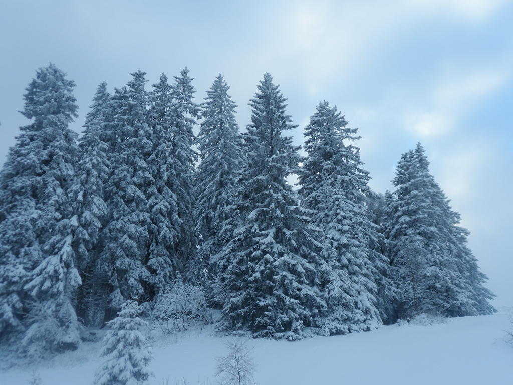 Grischalodge * Parpan